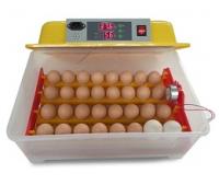 Инкубатор Золушка 98 яиц с автопереворотом