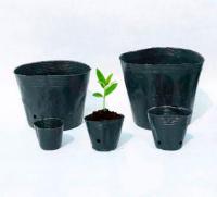 Стаканчики для рассады / Cups for seedlings