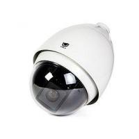 Поворотная AHD Speed Dome камера EAGLE EGL-ASP550