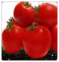 Семена томатов Mandur - Мандур, от фирмы United Genetics