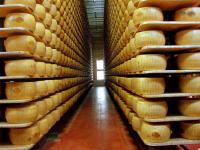 Сыр сычужно-твердый СТ РК 1063-2002, Сыры