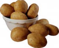 Комплексная система защиты для картофеля