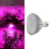 Свет для комнатных растений и рассады - Фитолампа 50 вт