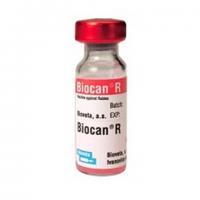 Вакцина Биокан R, доза (Собаки, коты, пушные звери, КРС, лошади, овцы, козлы, свиньи)