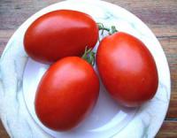 Семена томатов Indio F1- Индио F1,от фирмы Sakata