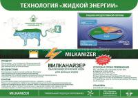 Кормовая добавка для КРС "Милканайзер", для повышения молочной продуктивности