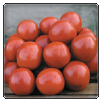 Семена томатов СОЛЕРОССО F1 Solerosso