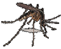 Обработка территории от комаров на весь сезон